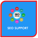 SEO Consultancy Pimpri