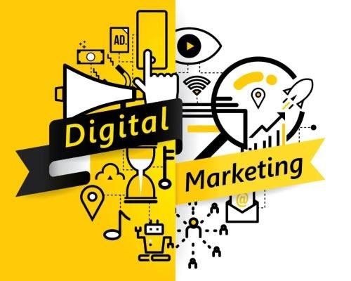 Digital Marketing Institutes Near Me